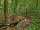 Relaxing, natural stream flowing through lush, green woods, perfect for nature lovers at 120 Spring Hollow Ln, Cary, NC 27518