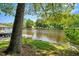 Scenic waterfront view featuring a backyard tree swing, grassy lawn, and lake access at 135 Sagamore Dr, Louisburg, NC 27549