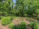 Inviting backyard with brick path, lush greenery, and serene natural setting at 2143 Ridge Rd, Raleigh, NC 27607