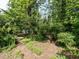 Beautiful backyard featuring a brick path, mature trees, and abundant foliage at 2143 Ridge Rd, Raleigh, NC 27607