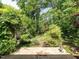 Spacious backyard with lush greenery and stone statue at 2143 Ridge Rd, Raleigh, NC 27607