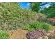 Well-manicured backyard garden bed featuring diverse plants and verdant foliage at 308 Rainbow Dr, Carrboro, NC 27510