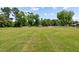 Expansive backyard with lush green grass and mature trees offering serene views and outdoor enjoyment at 3409 Lemon Springs Rd, Sanford, NC 27332
