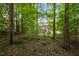 View of lush backyard bordered by trees, showcasing serene privacy at 606 Churton Grove Blvd, Hillsborough, NC 27278