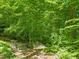 Secluded backyard features a hammock and seating area surrounded by lush trees and greenery at 612 Swift Ave, Durham, NC 27701