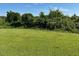 A large, green lawn and trees comprise the view in the backyard at 8019 W Tarboro Rd, Rocky Mount, NC 27803