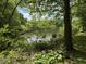 Tranquil lake view surrounded by lush greenery, creating a peaceful and inviting natural setting at 84 Macbeth Ln, Roxboro, NC 27574