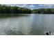 Calm lake surrounded by lush greenery and trees creating a picturesque view of nature and tranquility at 84 Macbeth Ln, Roxboro, NC 27574
