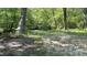 Property features a beautiful creek flowing through the wooded landscape at 106 Grange Dr, Wendell, NC 27591
