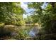 Scenic pond view surrounded by lush greenery and mature trees, creating a peaceful setting at 111 Killam Ct # 2A, Cary, NC 27513