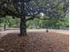 Outdoor basketball court perfect for pick-up games and practicing free throws at 205 S Pettigrew St, Raleigh, NC 27610