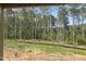 Scenic view from the new home, showcasing tall trees and natural landscape at 236 Golfview Ave, Benson, NC 27504