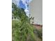 Side of home with newly planted tree. Green grass, mulch and some garden hose at 2612 Beagle Landing Dr, Raleigh, NC 27610
