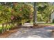 A tree-lined driveway, edged with flowering trees at 3123 Brassfield Rd, Creedmoor, NC 27522