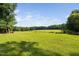 Large manicured lawn, partially surrounded by trees at 3123 Brassfield Rd, Creedmoor, NC 27522