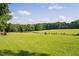 Expansive lush green pasture view with trees and clear blue sky, providing a serene and peaceful atmosphere at 3123 Brassfield Rd, Creedmoor, NC 27522