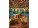An decorated open patio with string lights and sheer white curtains creates a romantic and festive ambiance at 3123 Brassfield Rd, Creedmoor, NC 27522