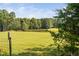 Picturesque meadow view with a pond, surrounded by lush trees under a clear blue sky at 3123 Brassfield Rd, Creedmoor, NC 27522