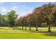 Expansive green lawn featuring mature crape myrtle trees at 3123 Brassfield Rd, Creedmoor, NC 27522