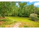 Expansive backyard with lush greenery and mature trees, perfect for outdoor activities at 509 Stokes Rd, Graham, NC 27253