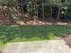 Lush backyard with a mature tree line beyond the well-maintained lawn at 532 Matheson Pl, Cary, NC 27511