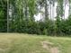 Expansive backyard with lush greenery, enclosed by a black fence for added privacy at 80 Willow Green Dr, Clayton, NC 27527