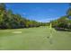 Expansive view of a golf course with a vibrant green fairway, flag on the green, and lush trees under a clear blue sky at 81502 Alexander, Chapel Hill, NC 27517