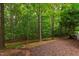 Landscaped backyard with a natural creek flowing through the lush greenery and wooded views at 1231 Silver Beach Way, Raleigh, NC 27606