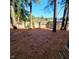 Backyard featuring greenery, trees, and a partial view of the home at 141 Jones Franklin Rd # E, Raleigh, NC 27606