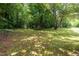 Large backyard area features lush greenery and mature trees offering privacy at 1917 Tucker St, Burlington, NC 27215