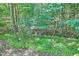Secluded backyard featuring a small creek surrounded by lush greenery and mature trees at 37 Wedgewood Rd, Chapel Hill, NC 27514