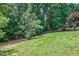 Lush green backyard with mature trees creating a natural and private retreat at 37 Wedgewood Rd, Chapel Hill, NC 27514