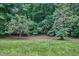 Serene backyard view surrounded by dense trees and lush green lawn creating a private and tranquil space at 37 Wedgewood Rd, Chapel Hill, NC 27514