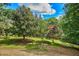 Lush front lawn featuring mature trees and a blue sky, creating a serene and inviting atmosphere at 37 Wedgewood Rd, Chapel Hill, NC 27514