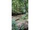 Scenic view of a tranquil creek surrounded by lush greenery and mature trees at 45 Leighann S Ct, Timberlake, NC 27583