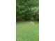 A neatly stacked pile of firewood sits in a grassy clearing surrounded by mature trees at 45 Leighann S Ct, Timberlake, NC 27583