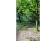 Lush, green wooded area with mature trees, offering privacy and natural beauty at 45 Leighann S Ct, Timberlake, NC 27583