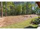 The spacious backyard has trees and grass at 509 Sherron Rd # 11, Durham, NC 27703