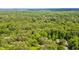 Expansive aerial view of lush green trees, showcasing the home's secluded location in a verdant neighborhood at 823 Churchill Dr, Chapel Hill, NC 27517