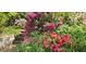 Charming garden with vibrant pink and red azaleas, showcasing the property's natural beauty at 206 N State St, Raleigh, NC 27601