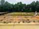 A vacant lot with trees in the background at 283 Hopewell Br Ct, Smithfield, NC 27577