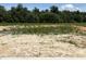 An undeveloped lot with a field view and an expansive backdrop of trees at 48 Spirit Springs Rd, Smithfield, NC 27577