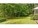 Spacious backyard with lush greenery and mature trees, creating a private and natural oasis at 148 Shadowbrook Dr, Henderson, NC 27537