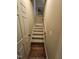 Carpeted staircase with wood flooring at the bottom of the stairs at 1655 Kingfisher Ct, Nashville, NC 27856