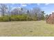 Large, open backyard with lush greenery and mature trees, offering privacy and space at 25 Mannford Ln, Angier, NC 27501