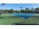 Well-maintained tennis courts provide a great space for recreation and exercise, surrounded by lush greenery and ample lighting at 12217 Beestone Ln, Raleigh, NC 27614