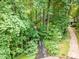 Aerial view of a long driveway winding through a lush forest, leading to a hidden home at 12709 Timberlane Ct, Raleigh, NC 27613