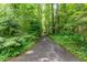 Long, tree-lined driveway leading to the home, creating a private and scenic entrance at 12709 Timberlane Ct, Raleigh, NC 27613