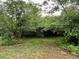 Backyard with large trees and underbrush behind the home at 246 Keene St, Henderson, NC 27536