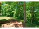 Natural backyard setting with mature trees and undergrowth, creating a serene atmosphere at 3216 Green Valley Dr, Sanford, NC 27330